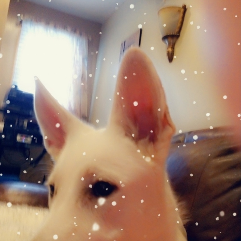 Meet your Posher, Denise